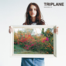 3rd Album�w�N�ɍ炭�����x