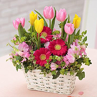 �s���N�F�ł܂Ƃ߂��A�t�̍��肢���ς��̂��킢�炵���A�����W�����g�ł��B (4,200�~)�@���C�y�ɂ������������I