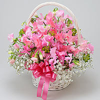 �s���N�̃X�C�[�g�s�[�ł܂Ƃ߂����킢�炵���A�����W�����g�ł��B