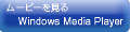 WindowsMediaPlayer�œ��������