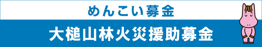 めんこい募金