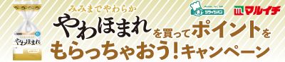 シライシパン×マルイチ やわほまれを買ってポイントをもらっちゃおう！キャンペーン