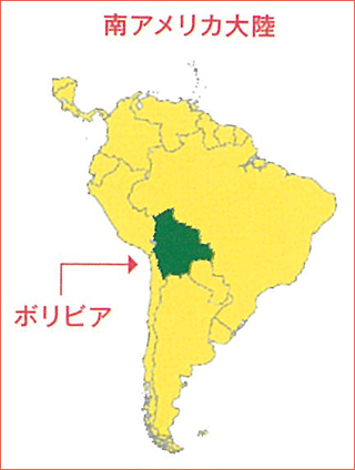 ボリビア多民族国