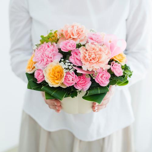 �J�[�l�[�V����������ɂ��R�����Ƃ����`���L���[�g�ȃA�����W�����g�B