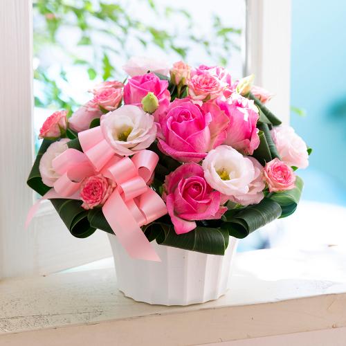 �s���N�n�̃o���A�g���R�M�L���E���߂����炵���A�����W�����g�ł��B