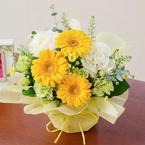 �C�G���[�Ɣ��ł܂Ƃ߂��_�炩���D������ۂł��邨�܂����A�����W�ł��B