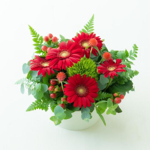�G�l���M�[������������A�N�e�B�u�ȐF����C������O�����ɂ����Ă��ꂻ���ȐF�ł��B