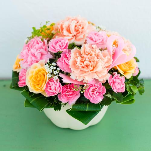 �J�[�l�[�V����������ɂ��R�����Ƃ����`���L���[�g�ȃA�����W�����g�B