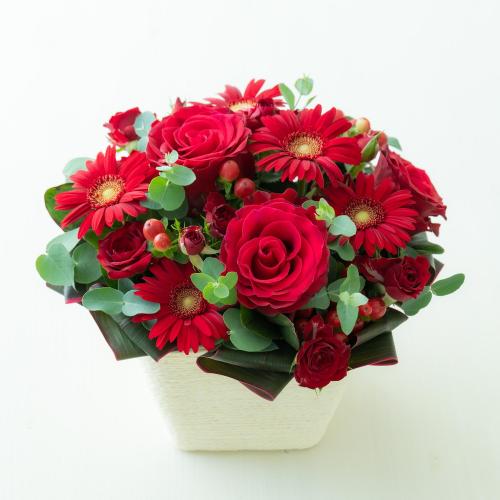 �G�l���M�[������������A�N�e�B�u�ȐF����C������O�����ɂ����Ă��ꂻ���ȐF�ł��B