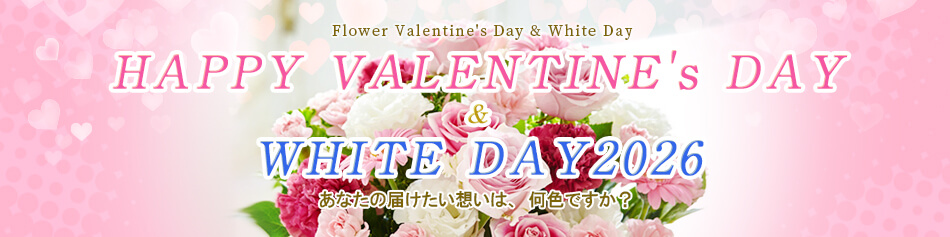 �o�����^�C�����z���C�g�f�[�t�����[�M�t�g���W