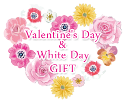valentine's Day �� White Day GIFT