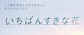 いちばんすきな花