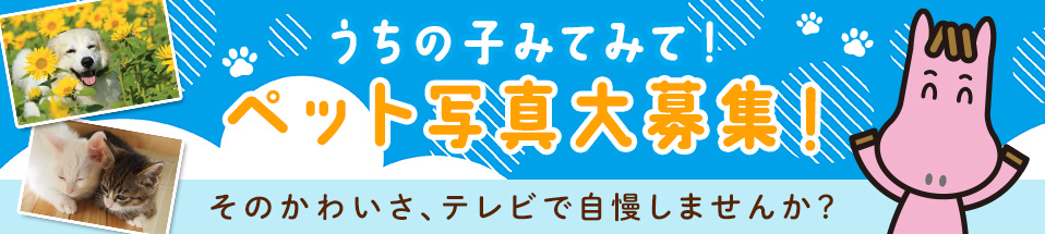 うちの子みてみて!ペット写真大募集!