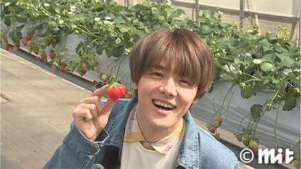 北東北発！ときめきスタート#5