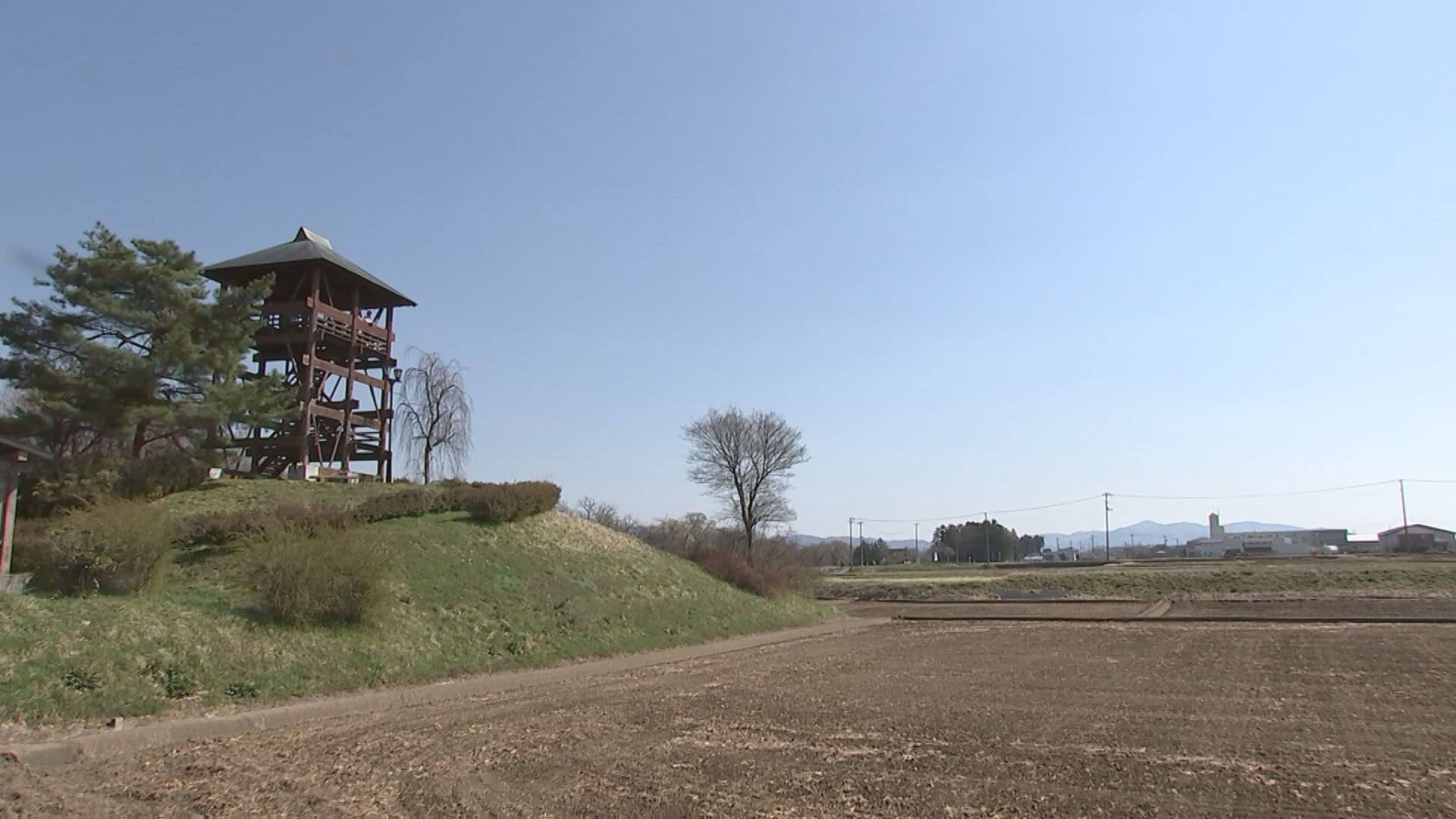 目の前に広がる田んぼでは、毎年7月中旬～8月初旬が見ごろ！