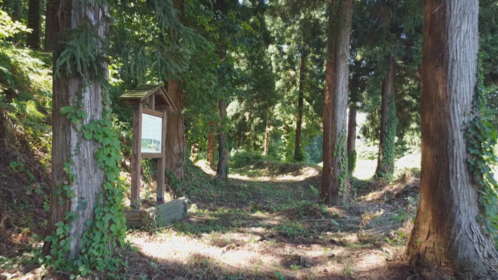 大鳥井山遺跡