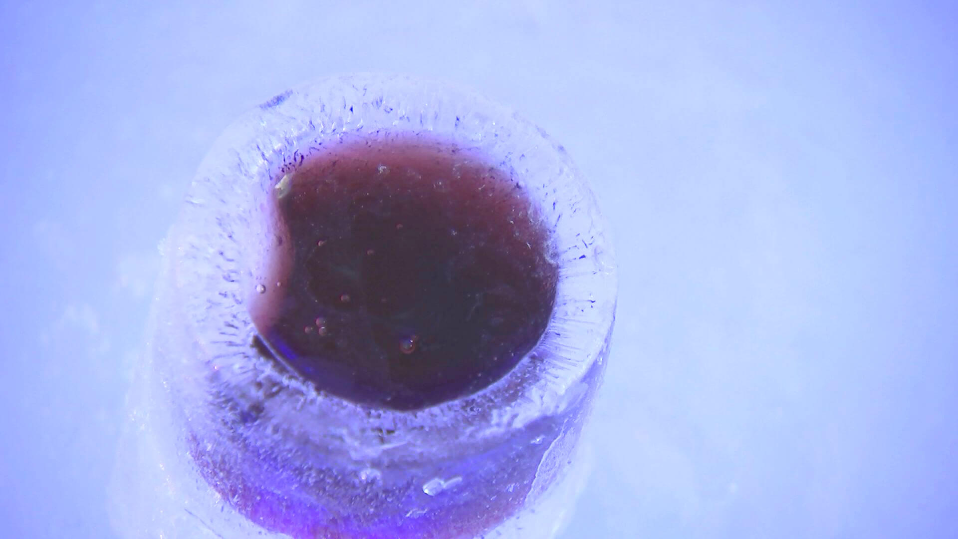 葛巻ぶどうジュース 400円（税込）＋氷のグラス 800円（税込）