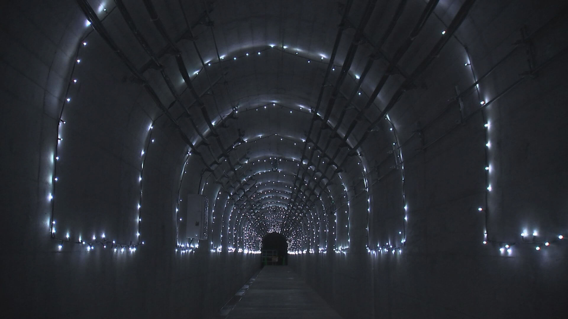 盛岡手づくり村でダムカレーを食べるとイルミネーションチケットがもらえる