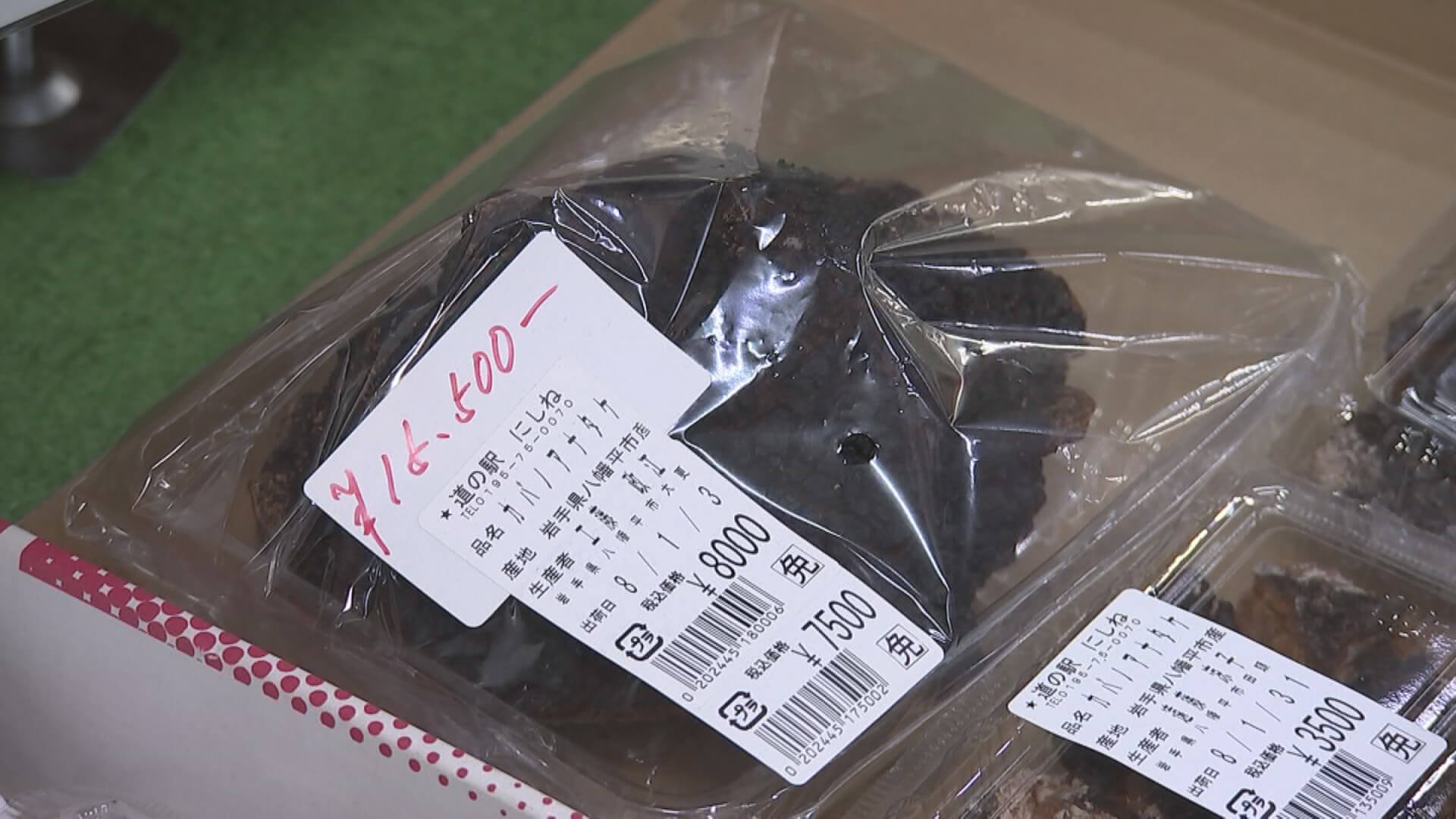 カバノアナタケ 8,000円