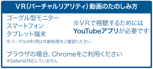 YR動画の楽しみ方